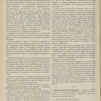 1760 - Page 1748 - Revue générale. Les angines ; par M. Pilod... II. Etiologie et pathogénie générales / III. Variétés bactério-cliniques
