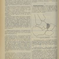 0372 - Page 364 - Revue générale. Les fractures de l'astragale ; par MM. A. Foraz et L. Salle... III. Mécanisme / IV. Anatomie pathologique