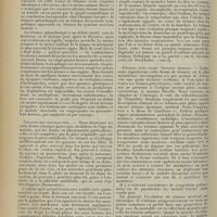 0556 - Page 548 - Revue générale. Le tétanos. Étude clinique et thérapeutique ; par M. X. Colanéri... IV. Formes cliniques / V. Diagnostic