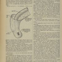 1222 - Page 1214 - Un cas d'appendicite herniaire avec adhérence du méso-appendice au sac et corps étranger de l'appendice simulant une occlusion intestinale ; par M. G. Daniel...