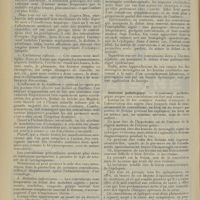 1304 - Page 1296 - Revue générale. Les convulsions de l'enfance ; par Pierre Labourdette et Maurice Delort... I. Etiologie / II. Anatomie pathologique