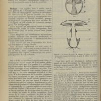 1508 - Page 1500 - Revue générale. Les empoisonnements par les champignons ; par Stephen Chauvet... I. Causes occasionnelles des empoisonnements / II / III. Étiologie