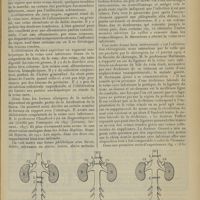 0583 - Page 571 - Revue générale. Les oblitérations de la veine cave inférieure ; par P. Hébrard... VII. Formes cliniques
