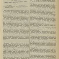 1245 - Page 1237 - Revue générale. L'hymenolepis nana. (Von Siebold, 1852). Nouveau parasite de l'homme observé en France. Par MM. Ch. Garin... Ev. Chancel... I. Historique / II. Description. Développement. Biologie