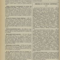 1308 - Page 1300 - Sociétés savantes. Société de neurologie. (Séance du 9 juillet 1913). Syringomyélie avec signe d'Argyll Robertson. MM. Sicard et Galezowski / Dysphasie. M. Meige / Lésions unilatérales expérimentales du cervelet chez des chiens et des singes. MM. Thomas et Durupt / Névrite du trijumeau d'origine diabétique. MM. Cerise et Pollack / Tumeur intramédullaire opérée. M. de Martel / Hémiatrophie faciale progressive. M. Krebs / Hémianopsie et cécité verbale. M. Pélissier / Sur les signes de localisation dans une paraplégie pottique aiguë. M. Claude / Sur la pachyméningite hémorragique. M. Roussy / Neuf observations de chirurgie du névraxe. MM. Marie, de Martel et Chatelin / Electrodes non polarisables. M. Bourguignon / Chronique et nouvelles scientifiques (suite) / Guerre / La chaire de puériculture