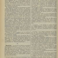 1814 - Page 1806 - Revue générale. Le choléra. Par MM. Orticoni..., A. Sartory... I. Bactériologie / II. Morphologie