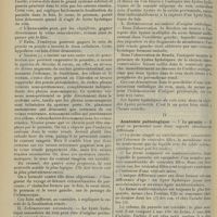 1924 - Page 1916 - Revue générale. Kystes hydatiques du rein. Par M. G. Daniel... III. Etiologie. Pathogénie / IV. Anatomie pathologique