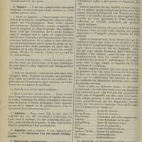 1928 - Page 1920 - Revue générale. Kystes hydatiques du rein. Par M. G. Daniel... VI Complications / VII. Diagnostic