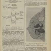 2117 - Page 2109 - Revue générale. Des kystes du sein. Par M. P. Alglave... Kystes sébacés