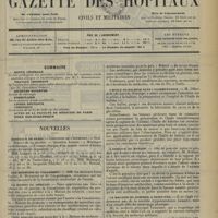 0203 - Page 193 - Sommaire / Nouvelles. Hôpitaux de Paris / Les médecins au parlement / La maison du médecin / Société de médecine publique et de génie sanitaire / Académie royale de médecine de Turin / L'huile de baleine dans l'alimentation / L'essence de banane / La maladie du sommeil à Saint-Cyr