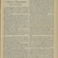 0741 - Page 745 - Clinique médicale. Études sur la pathologie de l'ulcus. VII. L'ulcus de la petite courbure ; par M. Albert Mathieu...