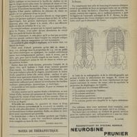 1081 - Page 1085 - Analyses. Médecine. La désinfection des selles. (Perdrizet. Annales d'hygiène publique et de médecine légale...) [Stephen Chauvet] / Notes de thérapeutique. Diabète arthritique / Livres nouveaux. Schémas du tronc. Etude anatomique, par A. Cerné... [M. Lance]