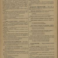 0058 - Page 50 - Notes pour l'internat. Nerf médian