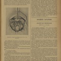 0725 - Page 723 - Dilatation variqueuse sus-ligamentaire de la veine ovarienne ; par MM. Soubeiran et Ferval... / Sociétés savantes. Société de neurologie. (Séance du 11 avril 1929). Sur les réflexes vertébraux. M. J. Jarkowski