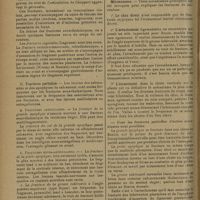 0286 - Page 278 - Revue générale. Fractures du calcanéum. Anatomie, symptomatologie. Traitement ; par M. Roger Pichon... Anatomie / Mécanisme / Symptomatologie