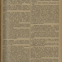 1387 - Page 1379 - Revue générale. Le rein des tuberculeux. (Travail du service de M. le Professeur Combemale) ; par A. Breton..., P. Decoulx... B. Les néphrites tuberculeuses. Pathogénie / Anatomie pathologique