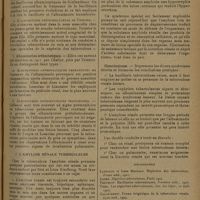 1389 - Page 1381 - Revue générale. Le rein des tuberculeux. (Travail du service de M. le Professeur Combemale) ; par A. Breton..., P. Decoulx... B. Les néphrites tuberculeuses / C. L'amylose rénale tuberculeuse. Conclusions