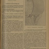 1593 - Page 1585 - Revue générale. Hernies internes ; par A. Folliasson... V. Variétés exceptionnelles