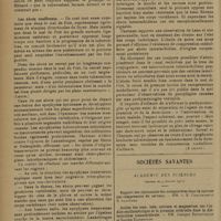 0288 - Page 284 - Revue générale. La tuberculose vertébrale postérieure ; par Claude Huriez... et Marcel Lambert... (Travail des Cliniques chirurgicale et médicale de l'Hôpital Saint-Sauveur de Lille, services de MM. les Professeurs Lambert et Carrière). Anatomie pathologique. (A suivre) / Sociétés savantes. Académie des sciences. (Séance du 9 février 1931). Un appareil de défense contre les gaz toxiques. M. R. Marcille
