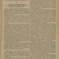 0341 - Page 337 - Les chapitres difficiles de l'anatomie. Le système nerveux central ; par H. Billet...