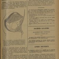 1487 - Page 1483 - Revue générale. Voies d'abord de l'articulation de la hanche ; par MM. A. Folliasson... et M. Joly... Indications. Voie d'abord totale (fig. 14 et 15) / Sociétés savantes. Académie des sciences. (Séance du 21 septembre 1931) / Livres nouveaux. Le diagnostic précoce de la syphilis par la recherche du tréponème dans le suc de l'adénopathie primaire, par le Docteur P. Boutteau