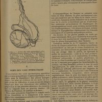 1745 - Page 1741 - Revue générale. Laboratoire d'anatomie de M. le Professeur Cordier. Artères et nerfs des voies spermatiques ; par MM. Claude Huriez... et Louis Christiaens... I. Vascularisation artérielle / II. Nerfs des voies spermatiques