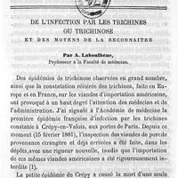 0401 - Page 401 - De l'infection par les trichines ou trichinose et des moyens de la reconnaître. Par  A. Laboulbène
