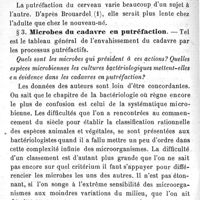 0324 - Page 324 - Étude bactériologique sur la putréfaction des cadavres au point de vue médico-légal. Par E. Malvoz. I. Putréfaction des cadavres en général. § 2. Marche générale de la décomposition cadavérique. § 3. Microbes du cadavre en putréfaction