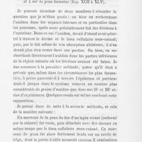 0460 - Page 457 - Sur la résorption des matières non dissoutes chez les mammifères par Dr Henri Auspitz (suite et fin). VIIe série d'expériences. 10 expériences : 6 sur des lapins (Exp. Xxxvi à xli) et 4 sur la peau humaine (Exp. Xlii à xlv)