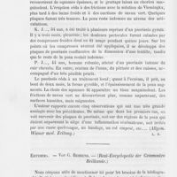 0613 - Page 594 - Revue de dermatologie étrangère. Beitrag zur Kenntniss der aetiologie der psoriasis vulgaris (Contributiona l'étiologie du psoriasis vulgaire), par le Dr J. Neumann / Erythema. Von G. Behrend. — (Real-Encyclopedie der Gesammten Heilkunde)