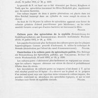 0324 - Page 320 - Revue de syphiligraphie. Expérimentation et bactériologie. Culture. Sur la culture du spirochéte pallida (Zur züchtung der spirochetapallida), par Hideyo Noguchi. Berliner klinische wochenschrift, 1912 / Sur la culture pure du spirochaete pallida (Ueber die reinzüchtung der spirochasta pallida), par H. Nakano. Deutsche medizinische wochenschrift, 1912 / Culture pure des spirochètes de la syphilis (Reinzüchtung der syphilisspirochäten), par Schereschewsky. Deutsche medizinische wochenschrift, 1912 / Contribution à la culture pure du spirochaete pallida (Ein beitrage zür reinzüchtung der spirochaeta pallida), par Tomaczewski. Berliner klinische wochenschrift, 1912