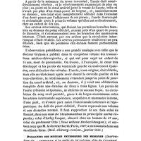 0097 - Page 97 - Revue générale. Pathologie et Thérapeutique médicales. Oblitération de l'aorte (Obs. de.) / Paralysie des muscles extenseurs des membres (Observation de - survenue à la suite de la colique dite de Cayenne), par M. Tanquerel des Planches