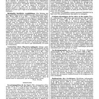 0108 - Page 104 - Revue des journaux. Neuropathologie. Pseudo-sclérose en plaques consécutive à la variole, par Castan. / Méningite basilaire syphilitique (Ein Beitrag zur Meningitis diffusa basilaris syphilitica), par Oestreicher. / Castration dans l'hystéro-épilepsie (Einige praktische Bemerkungen über Hysterie und Hypnotismus an der Hand eines Falles von castrirter Hystero-Epilepsie), par Ernst Emil Morovesik. [Paul Blocq]. / Dermatologie. La propagation de la lèpre (The propagation of Leprosy), par E. Neve. / Etiologie de la lèpre (Notes on Etiology of Leprosy) par E. Kaurine. / Lésions chroniques de la vulve et du vagin (Chronic inflammation, infiltration and ulceration of the external genitals of women), par R. W. Taylor. / La dermographie, par C. Féré et H. Lamy. / Pathogénie des érythèmes (Erythème polymorphe, érythème scalatiniforme) par Ernest Besnier