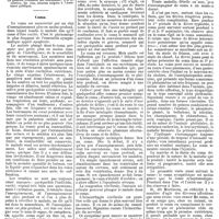 1102 - Page B - Mercr. méd. Suppl. thérap. Une question d'internat. Coma