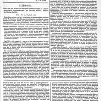 0563 - Page 565 - Revue hebdomadaire. Académie des sciences : de la transmission du charbon par les mouches. - Académie de médecine : suite de la discussion sur la mortalité des nouveau-nés. [Dr F. de Ranse]. / Pathologie. Étude sur les névralgies réflexes symptomatiques de l'orchi-épididymite blennorrhagique ; par Charles Mauriac... (Suite. - Voir les n°s 25, 28, 33 et 39.). / Feuilleton. Avant la révolution. Suite et fin. - Voir le numéro précédent