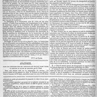 0078 - Page 74 - Revue hebdomadaire. Académie des sciences : le ferment de l'urée. - Académie de médecine : la leucocytose. [Dr F. de Ranse]. / Anatomie. Note sur quelques-unes des conditions qui peuvent faire varier la position du sillon de Rolando, par M. Féré. / Feuilleton. Auguste Nélaton... Suite. - Voir le numéro précédent