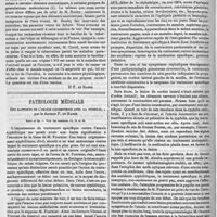 0198 - Page 194 - Les injections iodées dans le traitement de la pustule maligne. - L'anesthésie caustique. - La théorie microbienne des maladies infectieuses et la spontanéité de ces maladies. [Dr F. de Ranse]. / Pathologie médicale. Des rapports de l'ataxie locomotrice avec la syphilis, par le docteur F. de Ranse. Suite et fin. - Voir les numéros 14, 15 et 16