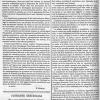 0318 - Page 314 - Académie de médecine. - Le lathyrisme médullaire spasmodique ; ses relations avec les différentes formes de béribéri. (A suivre.). [E. Ricklin]. / Pathologie chirurgicale. De la taille hypogastrique ou sus-pubienne, par M. G. Bouilly... Suite. - Voir le numéro précédent