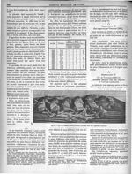 Fig. 60 - Les six enfants d'une grossesse sextuple chez une négresse d'Afrique - Gazette médicale de [...]