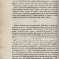 0018 - Page 18 - XIII