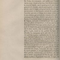 0062 - Page 62 - 3° Le phlegmon profond