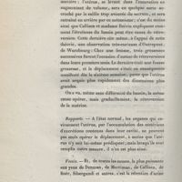 0024 - Page 24 - Rapports. Vessie