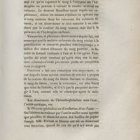 0015 - Page 15 - 2° Hémato-globuline en dissolution dans l'eau