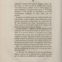 0030 - Page 28 - Vésicule biliaire / Rate