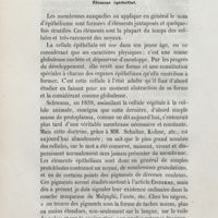 0012 - Page 4 - Élément épithélial