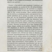 0025 - Page 17 - Cornée