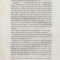 0026 - Page 18 - Épiderme