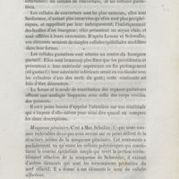 0031 - Page 23 - Muqueuse pituitaire
