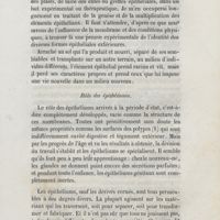 0041 - Page 33 - Rôle des épithéliums