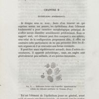 0086 - Page 78 - Chapitre II. Épithéliums sphéroïdaux